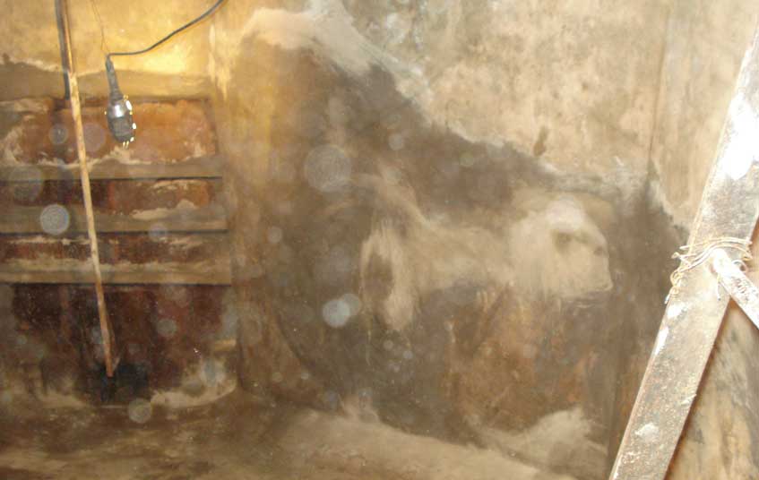 Eduardo Verdura e Hijos